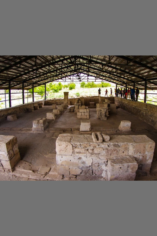 Authentic Anatolian Dinner at the Carpet House - Choice of Three Authentic Menu Options