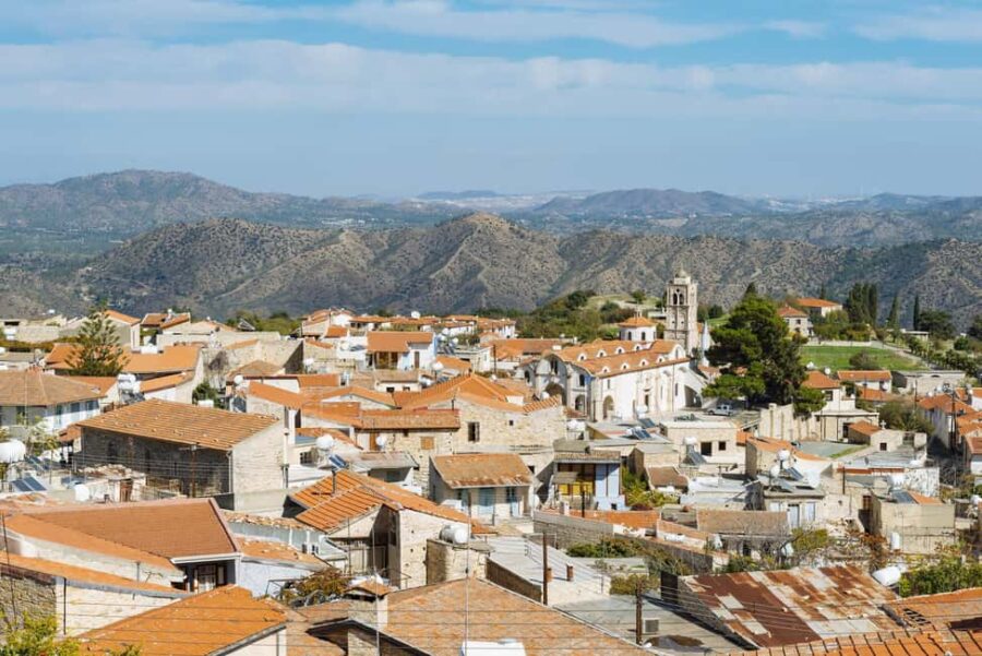 Authentic Cyprus with an English-speaking Guide - Tasting Cyprus Olives at the Mountain Organic Olive Farm