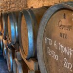 Authentic Piedmont wine tour with a local Sommelier - Visiting Vignale Monferrato: The Heart of Native Grapes