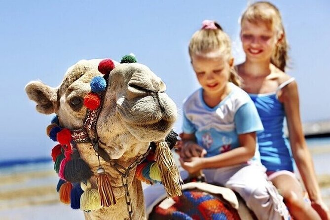 Authentic Private Tangier Tour from Estepona Camel Ride & Lunch - From Estepona to Tarifa: Starting the Journey