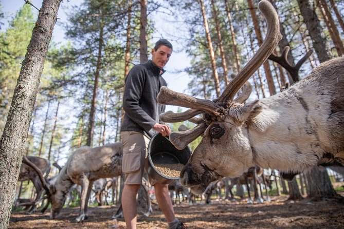 Authentic Reindeer Farm and Canoe Experience from Rovaniemi. - Canoeing on the Calm Lapland Lake