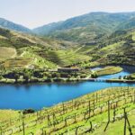 Authentic Small Group Douro Wine Tour with Lunch & River Cruise - Visiting Peso da Régua: The Heart of Douro Wine Commerce