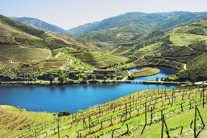 Authentic Small Group Douro Wine Tour with Lunch & River Cruise - Visiting Peso da Régua: The Heart of Douro Wine Commerce