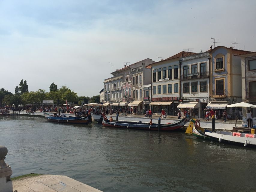Aveiro and Coimbra Private Tour - From Lisbon to Aveiro’s Colorful Canals in a Comfortable Van