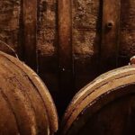 Aveiro Bike Rental - 5/8 hours - The Range of Bikes and Equipment Offered