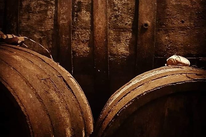 Aveiro Bike Rental - 5/8 hours - The Range of Bikes and Equipment Offered