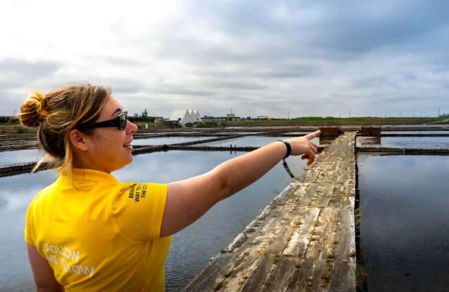 Aveiro: City Tour, Ovos Moles Workshop, and Boat Cruise - Starting from Igreja da Lapa to Explore Aveiro’s Best Sights