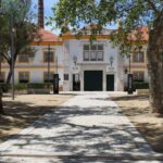 Aveiro: Cruise, Museums & Heritage  Tickets Included - Traditional Moliceiro Boat Ride Through Canals