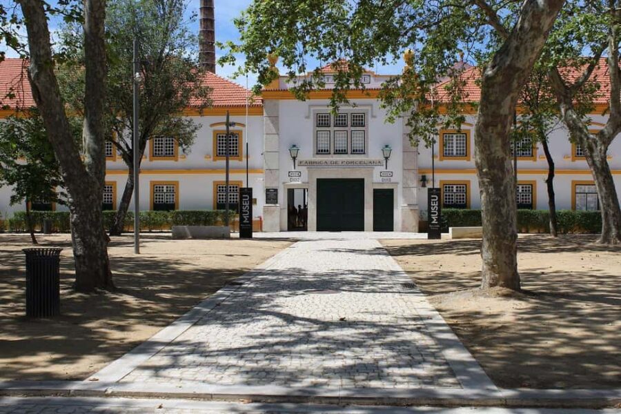 Aveiro: Cruise, Museums & Heritage  Tickets Included - Traditional Moliceiro Boat Ride Through Canals