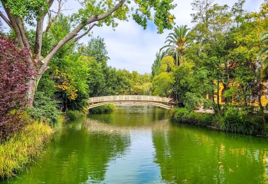 Aveiro: Gondola Ride and Costa Nova Beach  All Included. - Transportation in Style: Limousine Service Throughout the Day