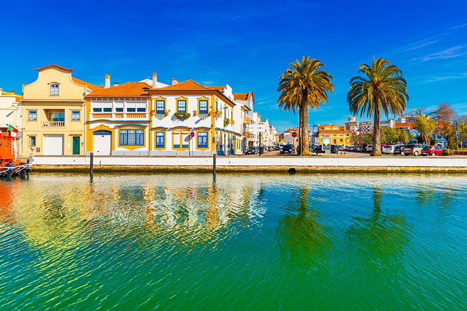 Aveiro Half Day Private Tour Porto w/ Moliceiro River Cruise - Glide Through Aveiro’s Canals on a Moliceiro Boat