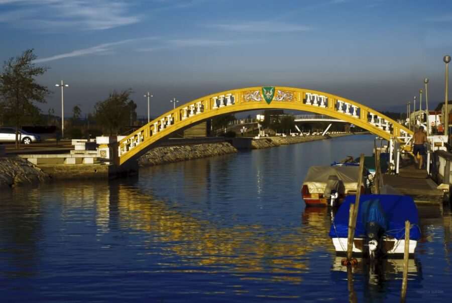 Aveiro: Half Day Tour with Boat Ride - The Scenic Canal Navigation in Aveiro