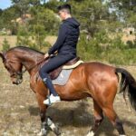 Aveiro: Horse Riding Experience with Instructor - What the Horse Riding Involves in the Aveiro Forest