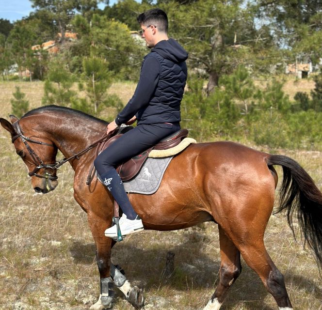 Aveiro: Horse Riding Experience with Instructor - What the Horse Riding Involves in the Aveiro Forest
