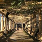 Aveiro Rent a Bike - 4 hours - Diverse Bike Options for Every Type of Rider