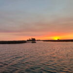 Aveiro: Ria Highlights Boat Tour - The 2-Hour Journey Through Aveiros Natural Ecosystem