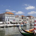 Aveiro Small-Group: Half Day Tour with Boat Ride - Navigating the Ria de Aveiro on a Traditional Moliceiro Boat