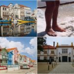 Aveiro Tour Small group, Moliceiro Cruise, Costa Nova, Vista Alegre & Lunch - Discover the Charm of Aveiro with a Full-Day Small Group Tour from Porto