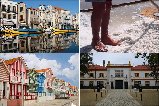 Aveiro Tour Small group, Moliceiro Cruise, Costa Nova, Vista Alegre & Lunch - Discover the Charm of Aveiro with a Full-Day Small Group Tour from Porto