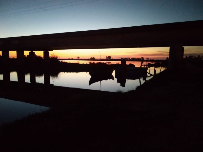Aveiro: Walking Tour, Boat Cruise, Sweets & Church Entrance - Guided Walk Through Aveiro’s Historic Beira Mar Neighborhood