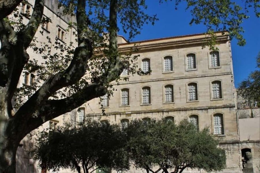 Avignon: Emblematic Squares Tour - Starting Point and Tour Duration in Avignon