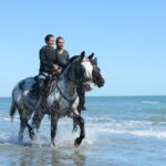 Awaken to Paros: A Scenic Morning Horseback Ride - The Horses and Guides: Well-Trained and Friendly