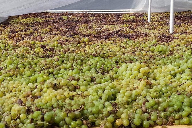 Axarquia VIP Wine Tour with Gourmet Winery Lunch Experience - Modern Vineyard and Traditional Drying Techniques