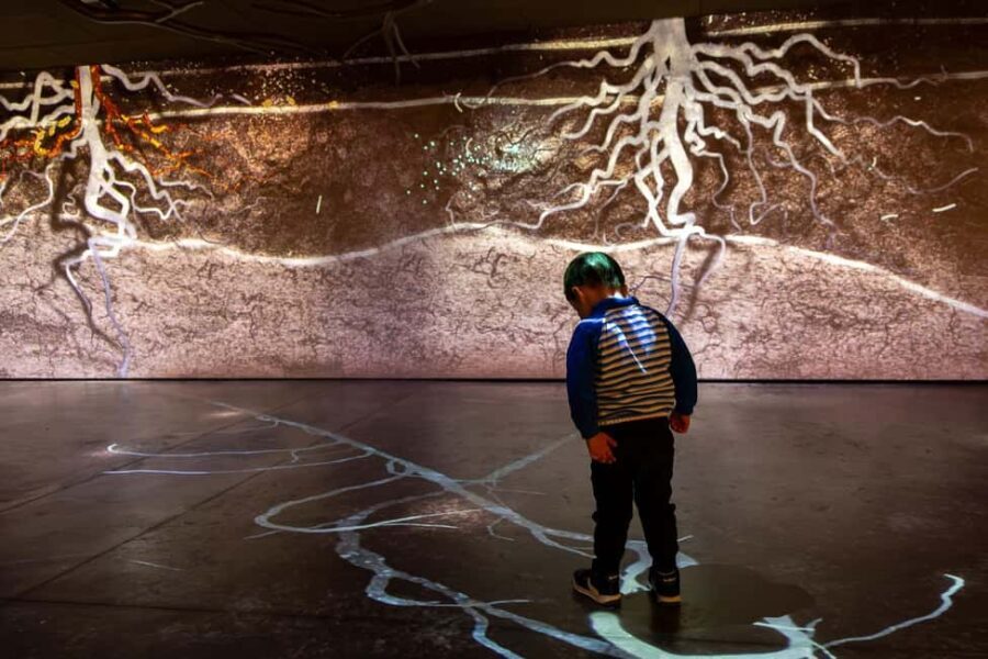 Aÿ-Champagne: Pressoria Champagne Museum with Tasting - Exploring the Interactive Exhibits at Pressoria