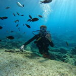 Ayia Napa: Beginners Discover Scuba Diving Experience - Discover the Musan Underwater Sculpture Park in Ayia Napa