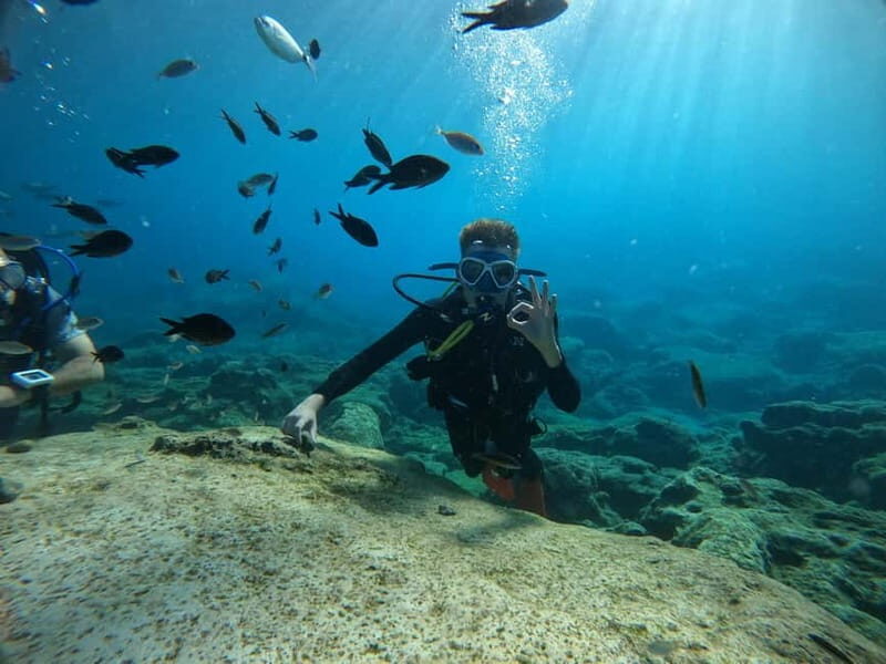 Ayia Napa: Beginners Discover Scuba Diving Experience - Discover the Musan Underwater Sculpture Park in Ayia Napa