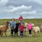 Ayrshire: Alpacas of Scotland Entry Ticket - Meeting and Greeting the Alpacas