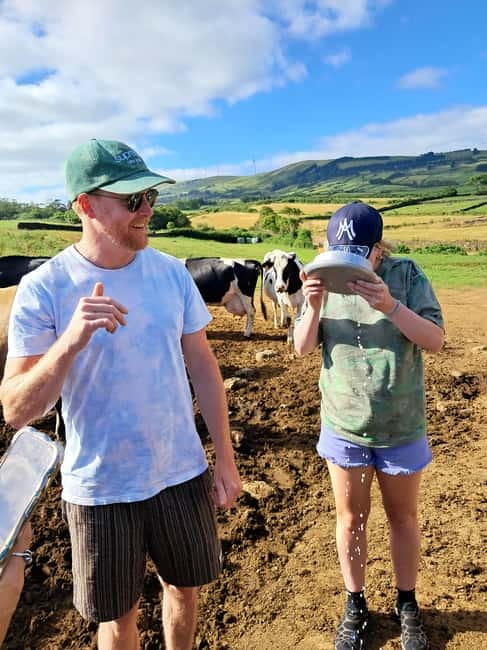Azores: Half-Day Dairy Farm Tour - Meeting in Angra do Heroísmo and Transportation to the Farm
