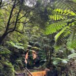 Azores: Janela do Inferno, Caldeira Velha Guided Hiking Tour - Crossing the Historic Tunnels of Janela do Inferno