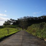 Azores: São Miguel and Lagoa do Fogo Hiking Trip - Cómo Es la Salida y el Itinerario