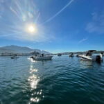 Azure Paradise: Blue Cave and Kotor Bay Boat Tour - The Starting Point at Park Slobode and How to Find It