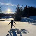 Bad Goisern: Snowshoe Tour in a Pine Forest With Panorama - An Easy, Well-Maintained Trail in Austrian Pine Forests