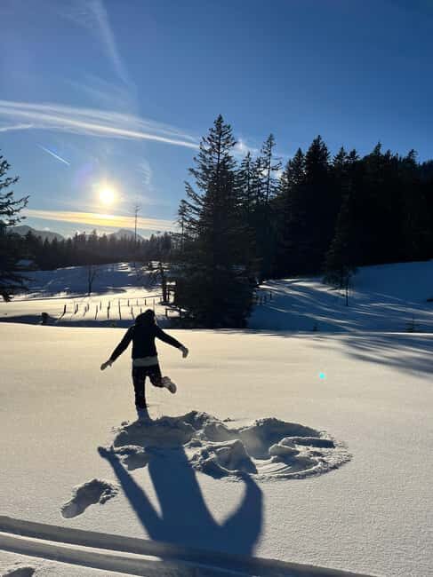 Bad Goisern: Snowshoe Tour in a Pine Forest With Panorama - An Easy, Well-Maintained Trail in Austrian Pine Forests