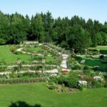 Bad Wörishofen: Rose Garden Tour - Visiting Bad Wörishofen’s Spa Gardens for a Rose-Filled Experience