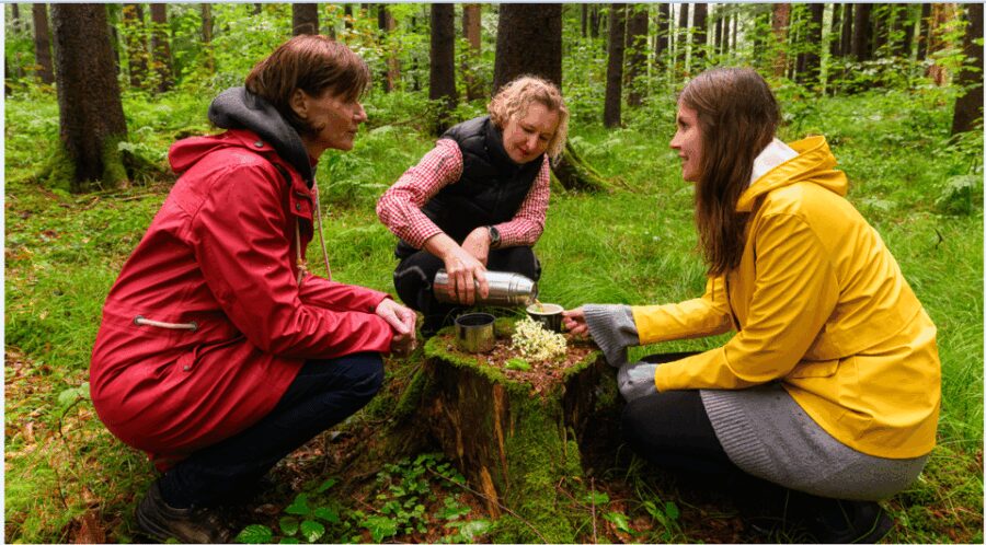 Bad Wörishofen: Shinrin-Yoku  Forest Bathing - Starting Point at Busshaltestelle "Versunkenes Schloss"