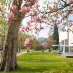 Baden-Baden: Sightseeing Highlights Guided Walking Tour - Starting Point at Baden-Baden’s Tourist Information