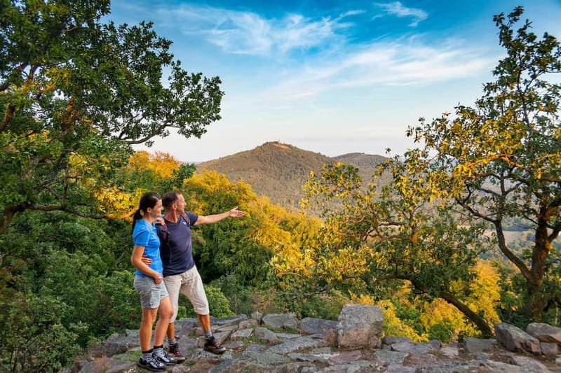 Baden-Baden: Wanderung mit dem Schwarzwald-Guide - Scenic Forests and Picturesque Meadows