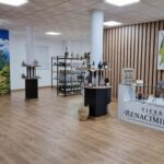 Baeza: Visit to an Organic Olive Grove + Oil Tasting - Starting Point: Tierra de Renacimiento Store in Baeza