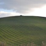 Baglio Florio Adamo: Oil Tasting - Starting at Baglio Florio with Sicilian Hospitality