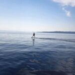 Baka Voda: Electric Surfboard Rental with Instructor - How the Electric Surfboard Works in Baka Voda