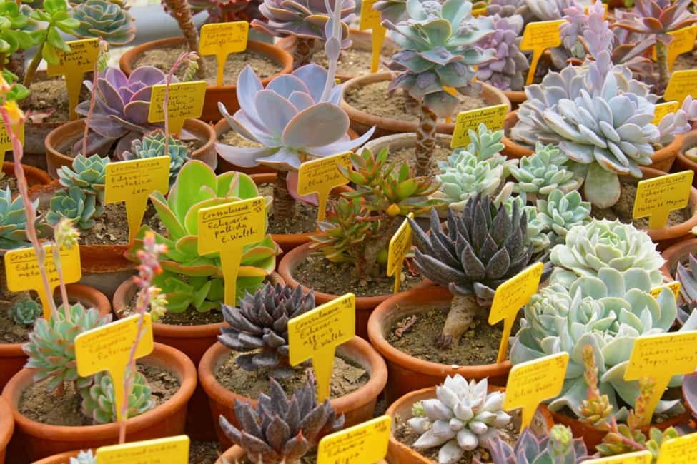 Balchik: Balchik Palace, Botanical Garden & Cape Kaliakra - Visiting Queen Maria of Romania’s Palace and Botanical Gardens