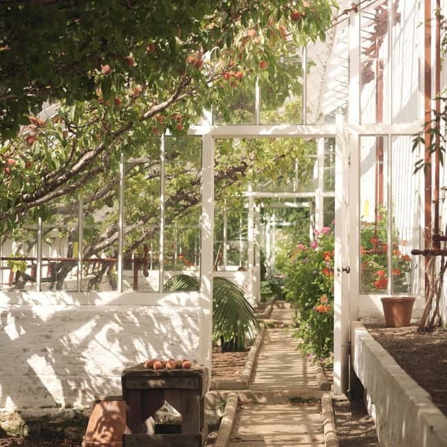 Ballymena: Walled Garden and Woodland Walk Entry Ticket - Exploring the Woodland Walk and Its Connection to the Garden