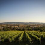 Balsamic Vinegar, Olive oil and Organic Winery Tour in Assisi with tasting - The Starting Point: Pickup at Largo Properzio in Assisi