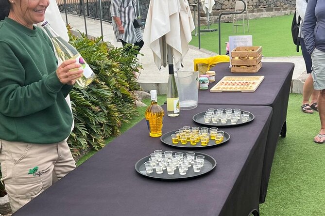 Banana Museum, Rum Distillery & Winery with Tasting: Premium tour - Visiting the Banana Museum in Arucas: A Banana Cultivation Experience