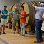 Bandol: family vineyard tour and tasting - Starting at Château Canadel in Le Castellet