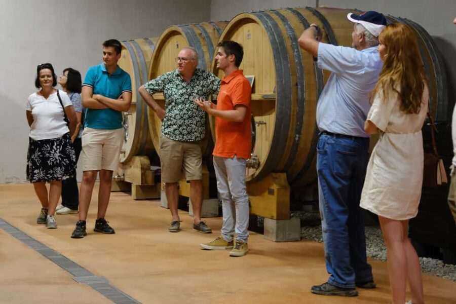 Bandol: family vineyard tour and tasting - Starting at Château Canadel in Le Castellet